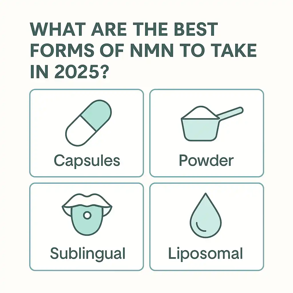 Can Liposomal NMN Powder Raise NAD+ Levels Faster Than Sublingual?